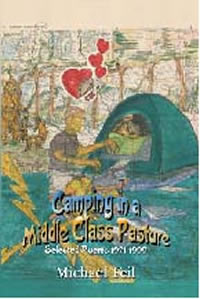 Click to  buy Camping in a Middle Class Pasture
